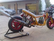Immagine inserita