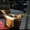 imagebam.com