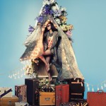 imagebam.com