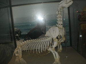 http://thumbnails48.imagebam.com/20317/69a8f1203167197.jpg
